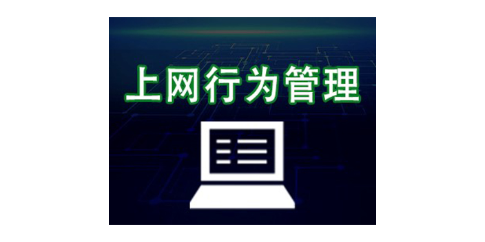 上海好用靠谱上网行为管控厂商 欢迎咨询 上海迅软信息科技供应