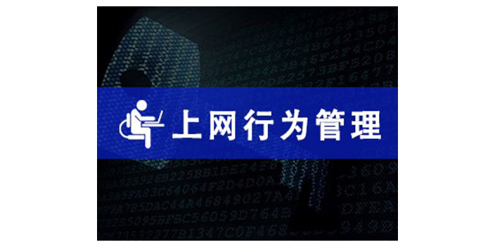 上海迅软上网行为管控什么价格 欢迎来电 上海迅软信息科技供应