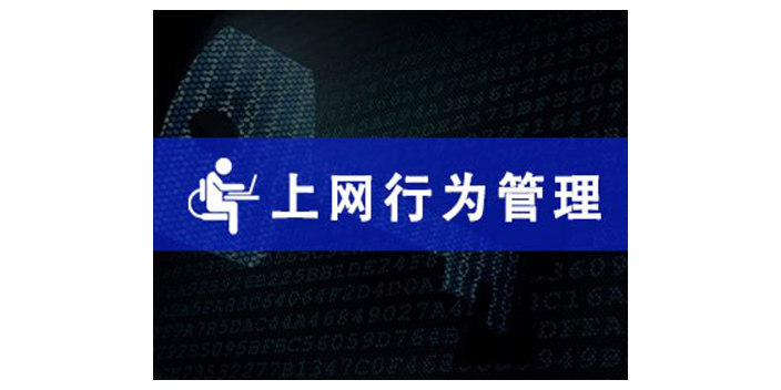 上海企业上网行为管控 欢迎来电 上海迅软信息科技供应