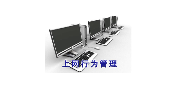 上海企业部署上网行为管控厂商 欢迎来电 上海迅软信息科技供应