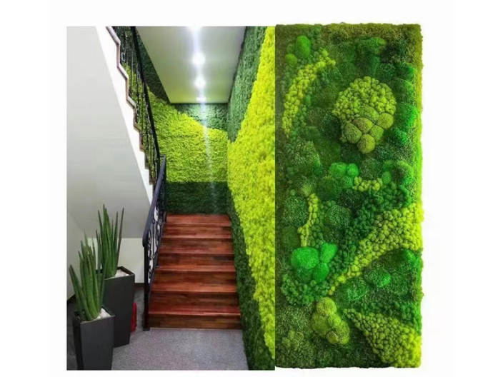 普陀区壁挂式绿植墙招标 上海皓尊园艺供应