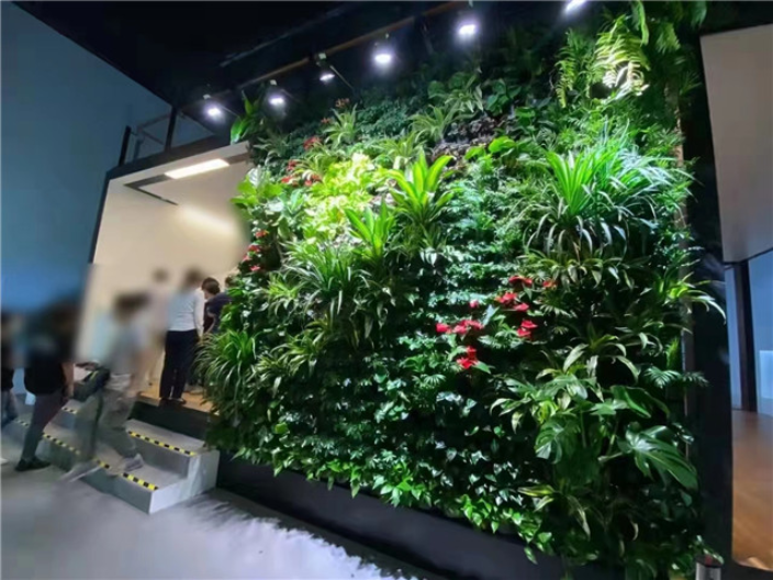 浦东新区壁挂式绿植墙围挡 上海皓尊园艺供应