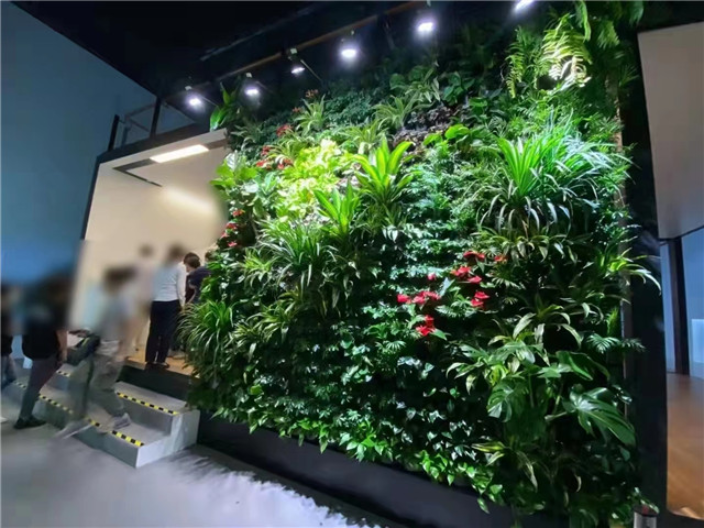 楊浦區商場綠植墻廠家 上海皓尊園藝供應
