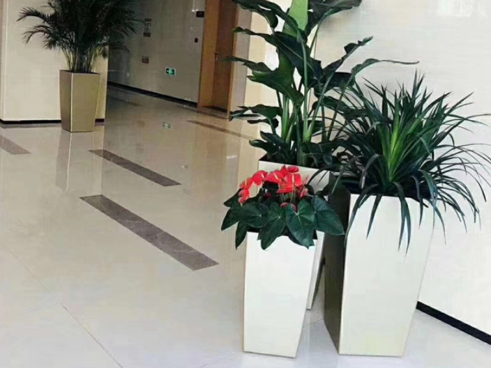 上海專業綠植花卉租賃