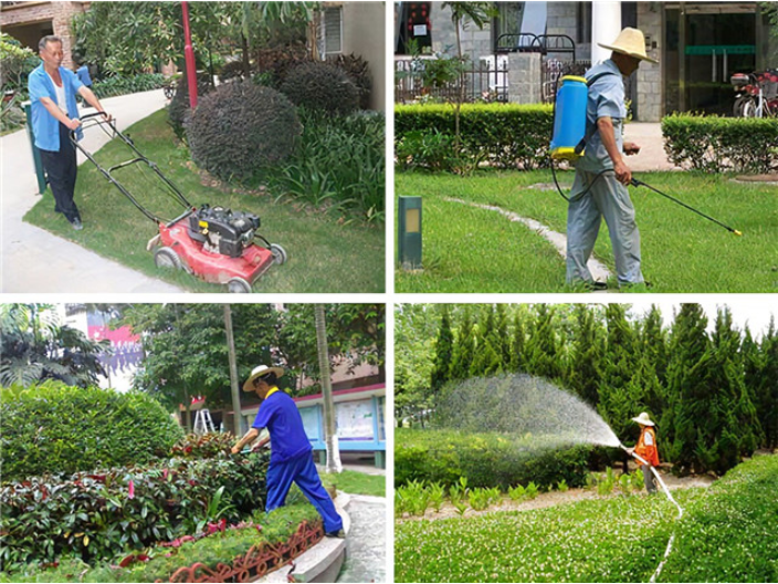 上海苗圃綠化養護實施方案
