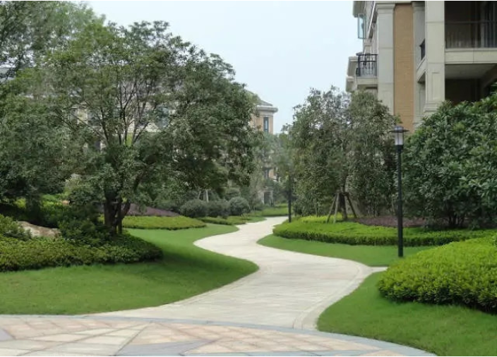 普陀区景观绿化工程效果图 上海皓尊园艺供应