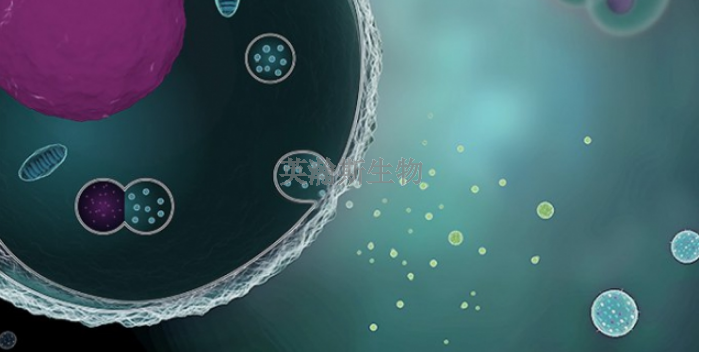 广东细胞外泌体实验