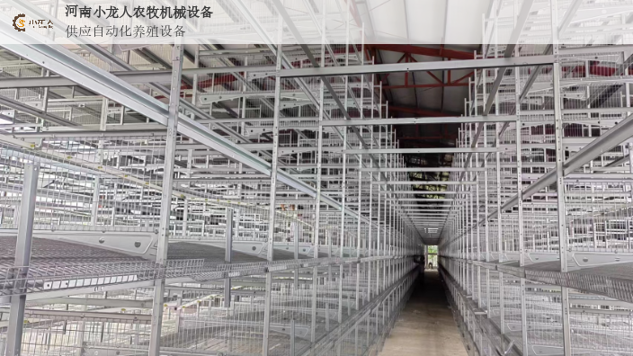 漯河养鸡层叠式蛋鸡笼生产厂家 河南小龙人农牧机械设备供应