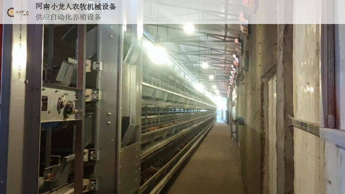 平顶山全自动层叠式肉鸡笼生产厂家 河南小龙人农牧机械设备供应