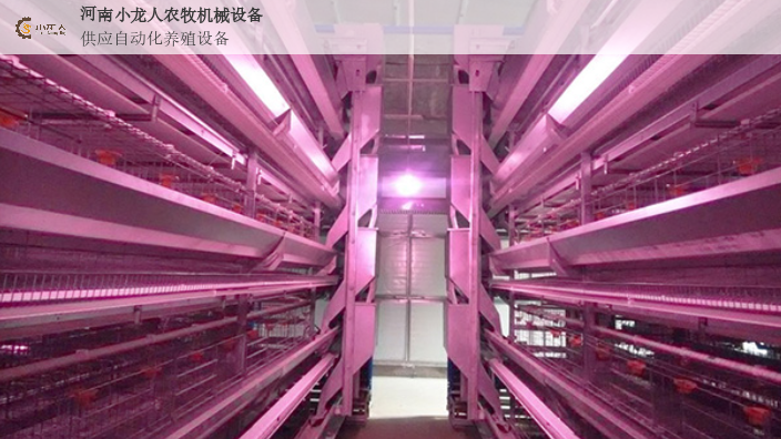 江苏新型层叠式蛋鸡笼生产厂家 河南小龙人农牧机械设备供应