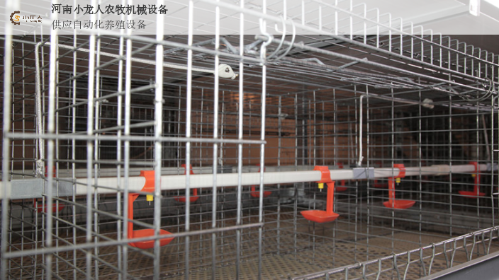 安阳定制层叠式种鸡笼生产厂家 河南小龙人农牧机械设备供应