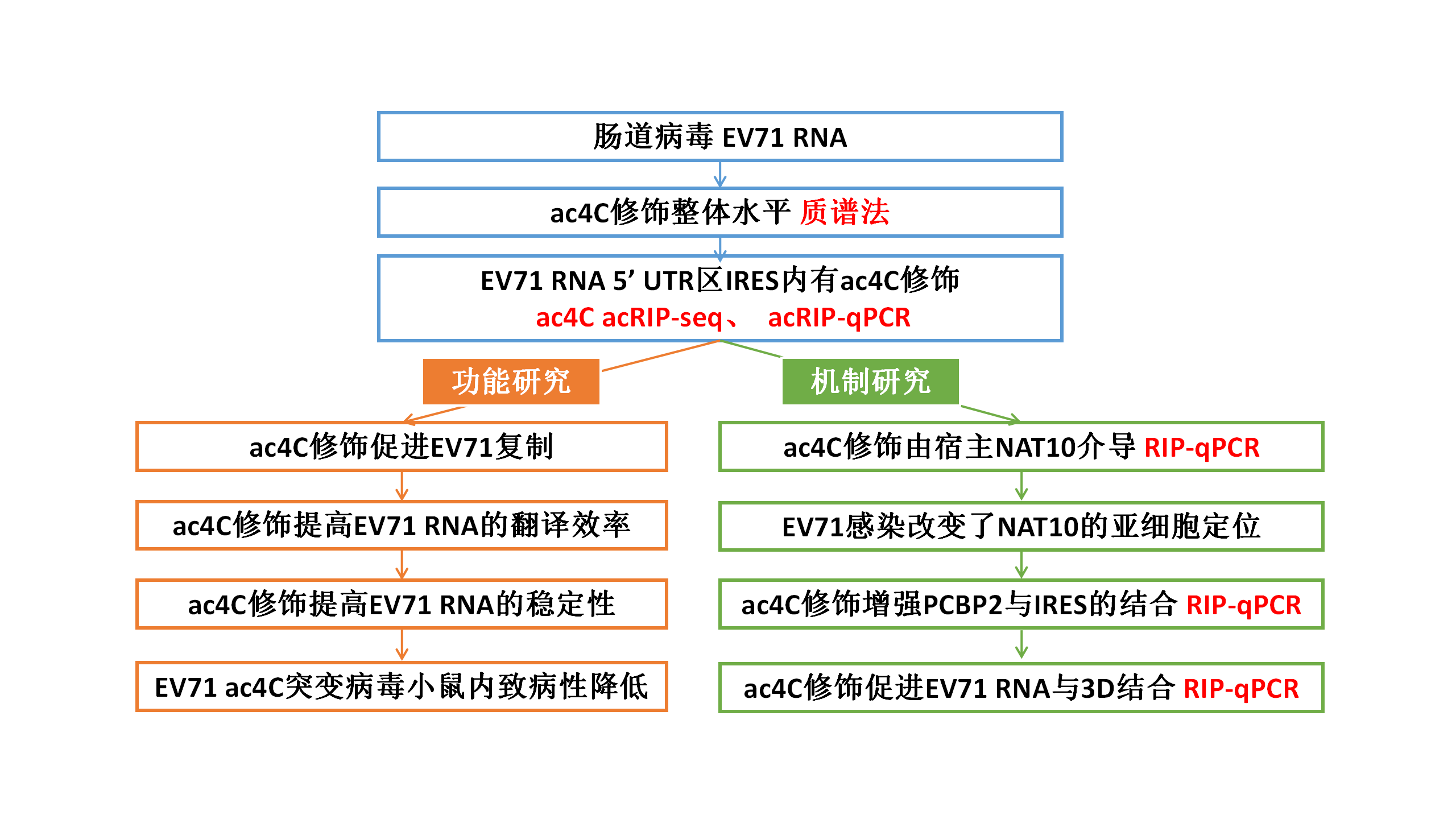 技术路线.png