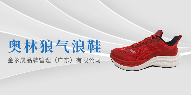 广东国产品牌运动鞋鞋带搭配 诚信服务 新正永品牌管理供应