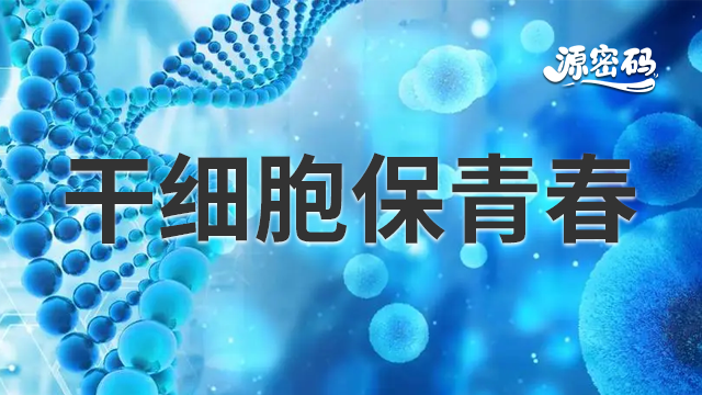 吉林干細胞保青春常見問題 服務為先 鄭州源密碼生物科技供應