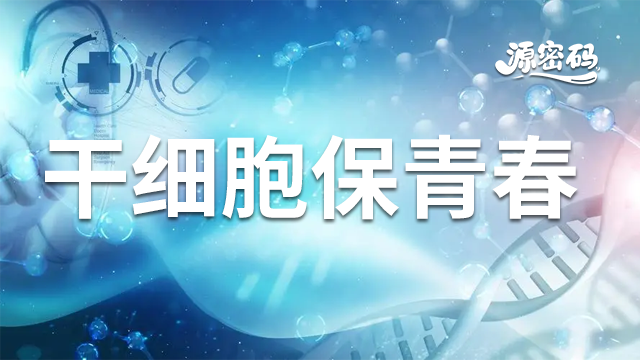 贵州放心干细胞保青春 服务至上 郑州源密码生物科技供应