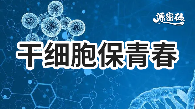 黑龙江干细胞保青春以客为尊 值得信赖 郑州源密码生物科技供应