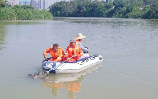 水域河流治理