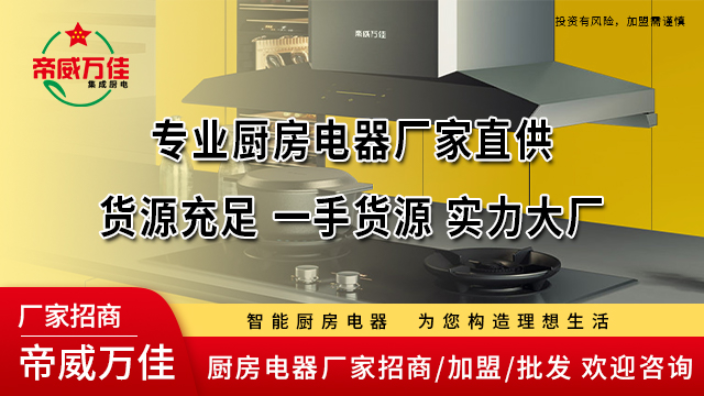 广东科巧厨房电器厂家直销 河南帝威万佳厨卫电器供应