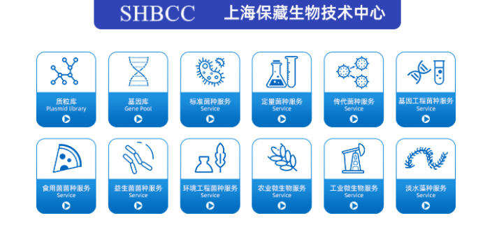 嗜鹽嗜堿菌菌株 上海瑞楚生物科技供應(yīng)