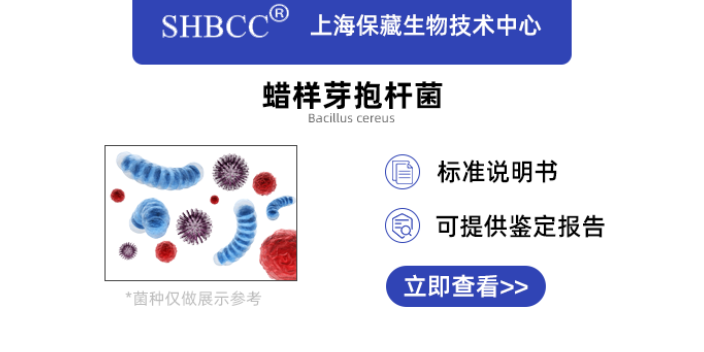 青銅小單胞菌菌株 上海瑞楚生物科技供應(yīng)