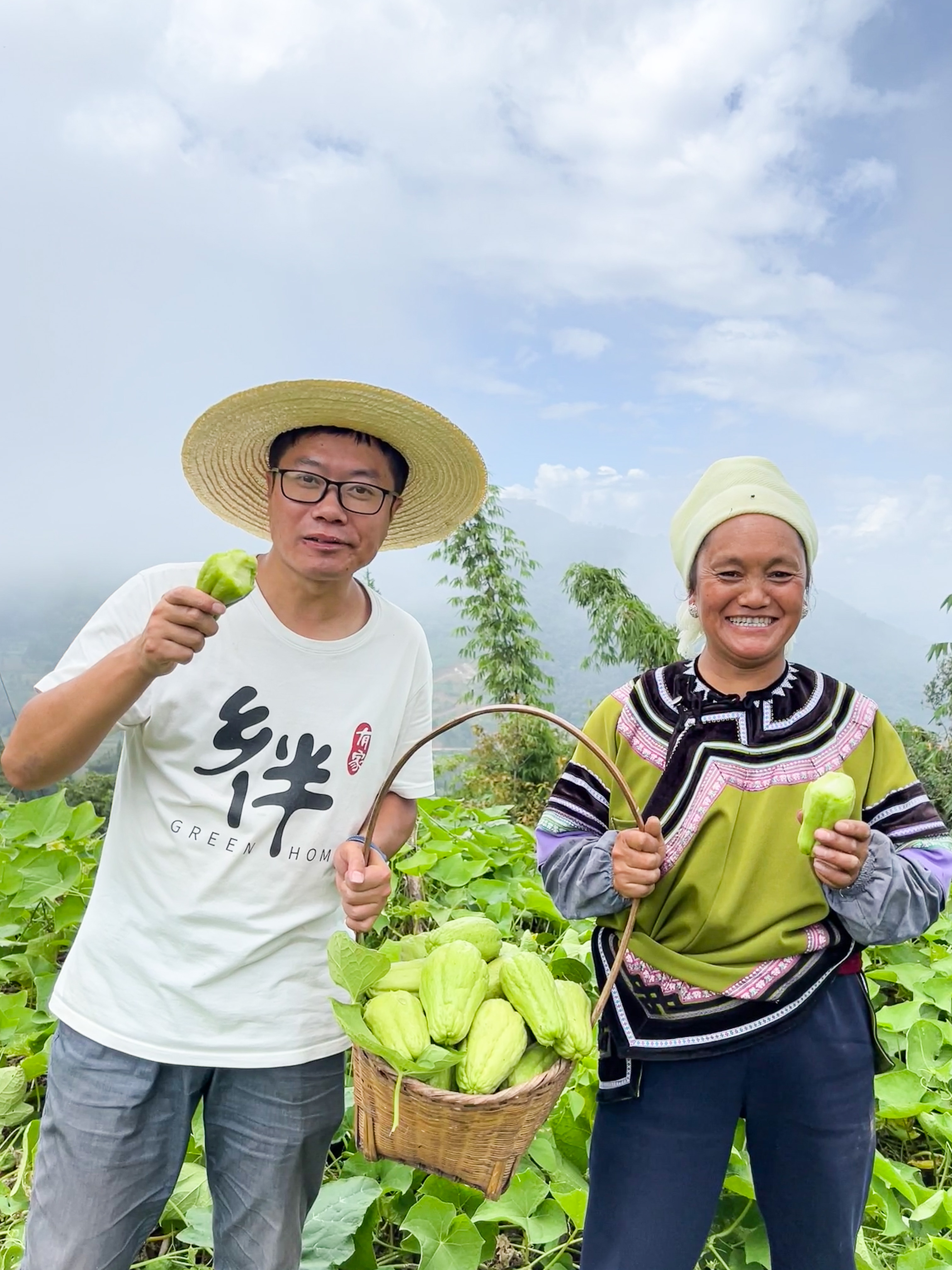 香港五点来料资料