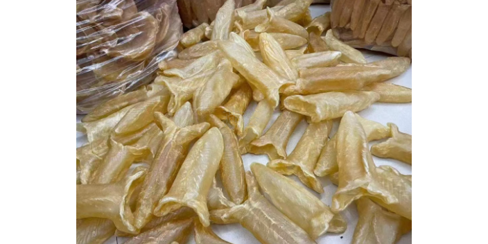 河源哪里的魚膠的功效和作用,魚膠