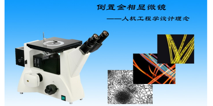重庆明暗场倒置金相显微镜价格多少