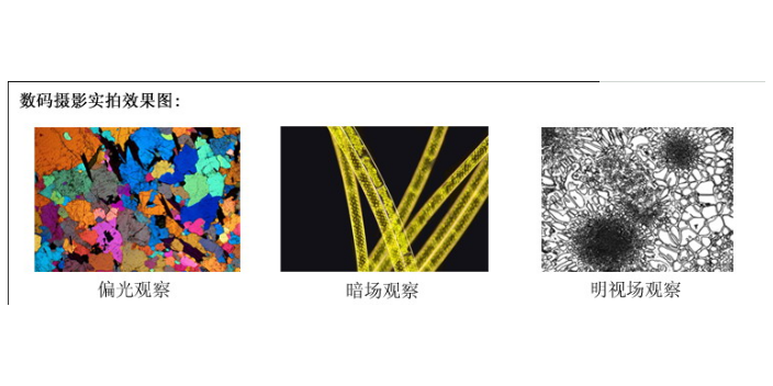 無錫電子金相顯微鏡操作簡(jiǎn)單 批發(fā)價(jià)格 無錫歐馳檢測(cè)供應(yīng)