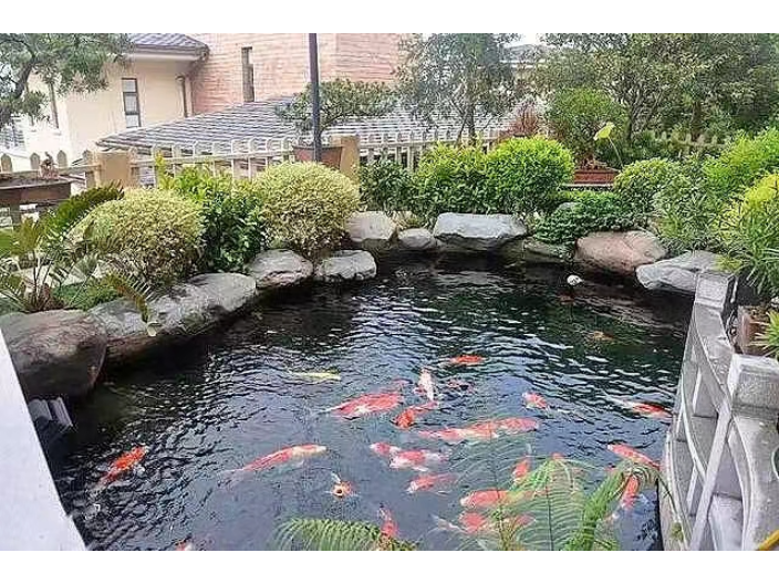 惠州私家庭院假山水池建造設計公司