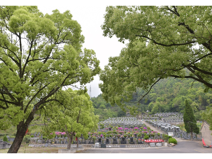 慈溪生態(tài)墓地在哪里,墓地