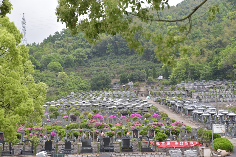 上海壁葬墓地,墓地