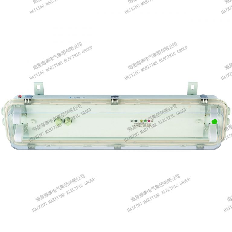帶蓄電池應急熒光蓬頂燈