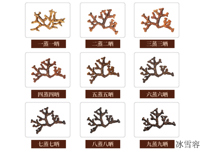 江苏灵芝孢子粉黄精怎么搭配 冰雪容供应