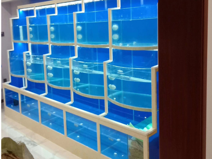 广东保温板ACS板鱼缸供应商,鱼缸定制