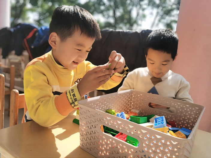 示范小学招生咨询电话,小学招生