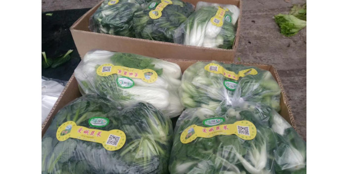 新鲜生鲜配送加盟 欢迎来电 上海爱娥蔬菜种植供应