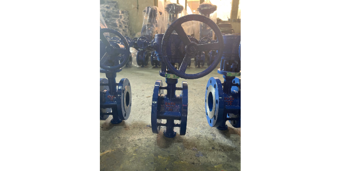 洞頭區(qū)ISO認(rèn)證蝶閥采購 貼心服務(wù) 浙江光大閥門供應(yīng)