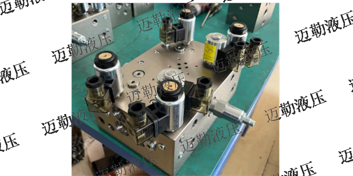 新疆橡塑机械阀组厂家 服务为先 上海迈勒液压技术供应