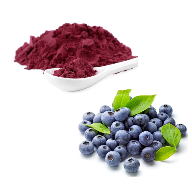 Organic Blueberry Extract Manufacturer And Blueberry Extract Supplier