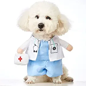 dog surgeon costume