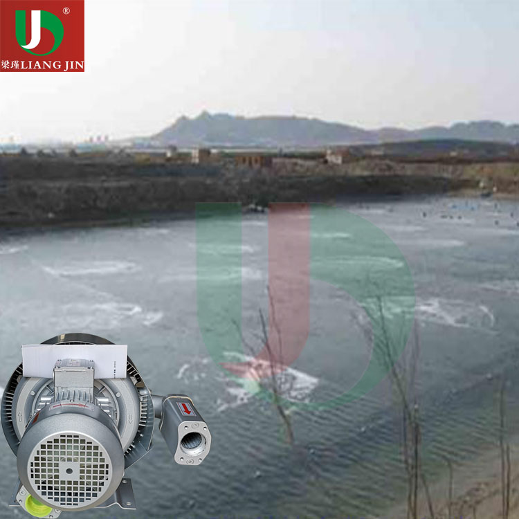 漩渦高壓風(fēng)機(jī)操作指南,上海梁瑾機(jī)電設(shè)備有限公司,高壓漩渦鼓風(fēng)機(jī)