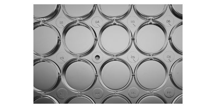 南京耐思（NEST)24孔细胞培养板