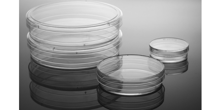 无锡灭菌细胞培养皿代理