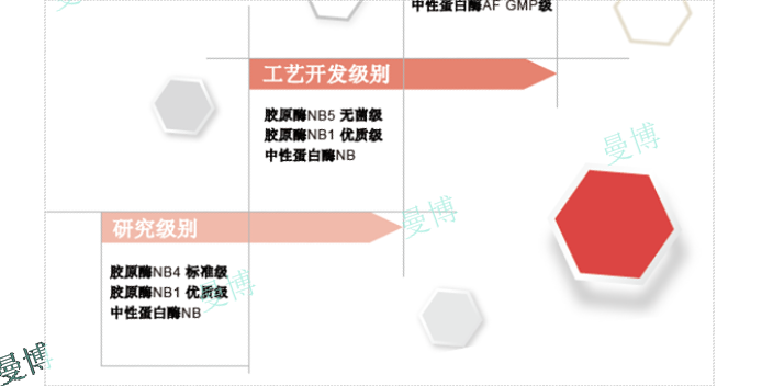 SVF提取用胶原酶和透明质酸酶怎么搭配使用