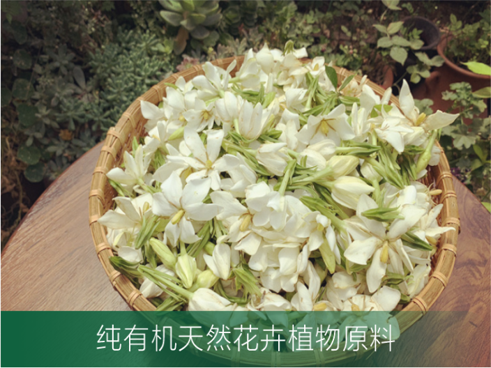有机种植纯露院线级 广州原渡生物科技供应