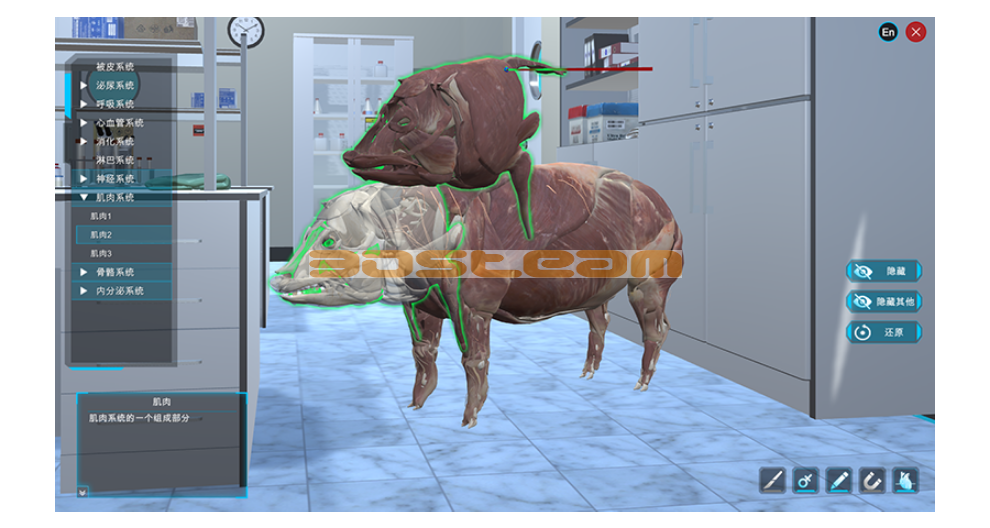 犬解剖虚拟仿真管理系统