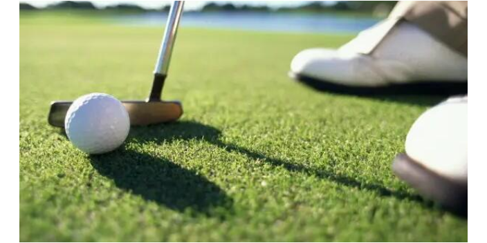 扬州服务高尔夫球常见问题