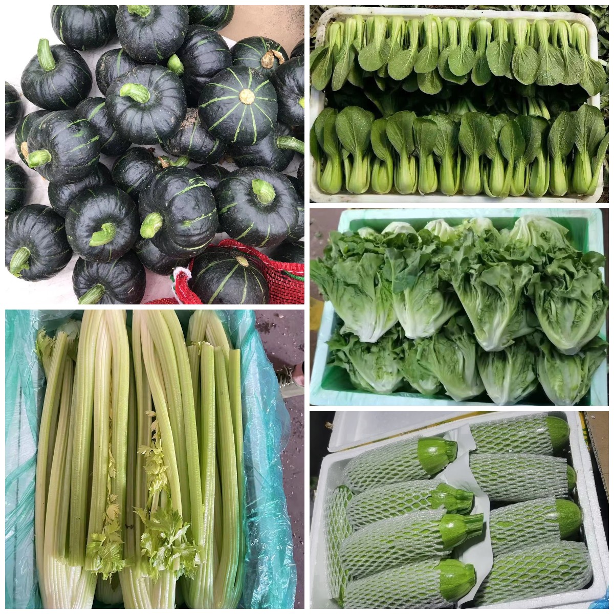 蔬菜配送