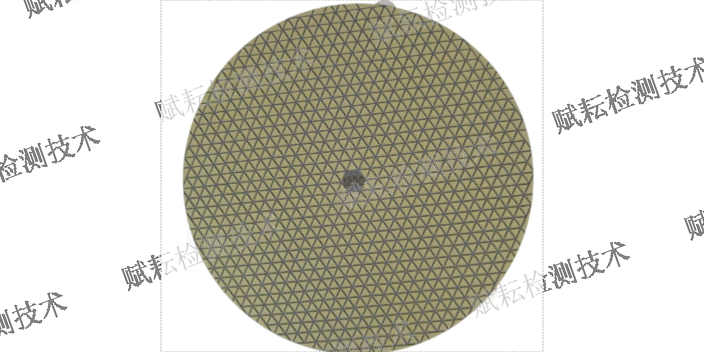 上海法国蓝盘金刚石磨盘适合什么材料磨抛 来电咨询 赋耘检测技术供应