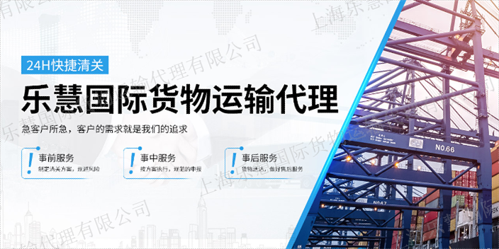 金山区冻品清关市场报价 诚信服务 上海乐慧国际货物运输代理供应